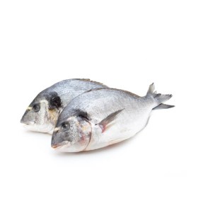 Goldbrasse Dorada Royal 300-400g